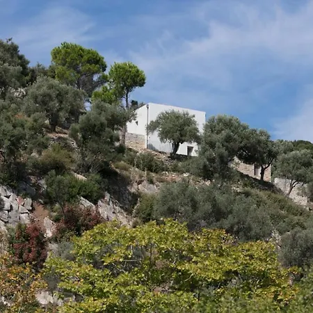 Ferienhaus House λ