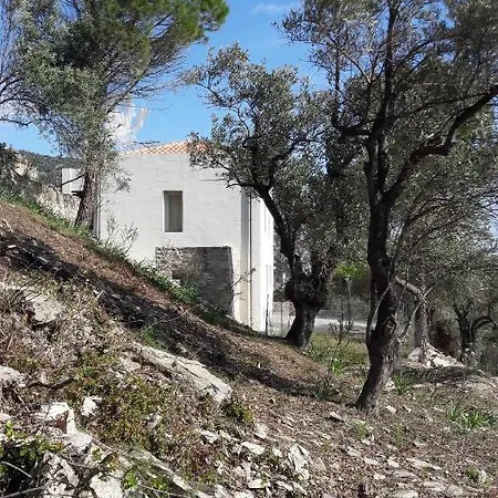 House λ *